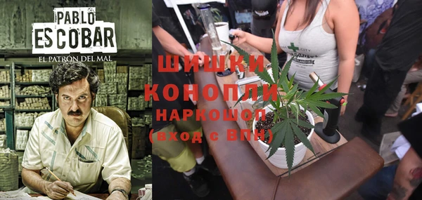 мдпв Ладушкин
