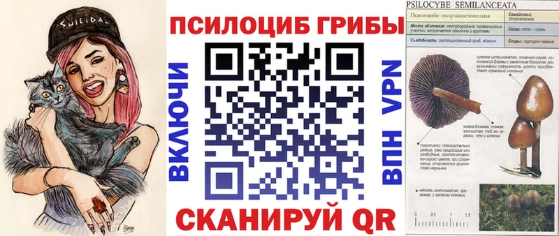 закладки  Андреаполь  дарк нет наркотические препараты  Псилоцибиновые грибы мухоморы 